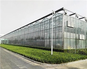四川溫室大棚種植有哪些優(yōu)點(diǎn)是你還不知道的？